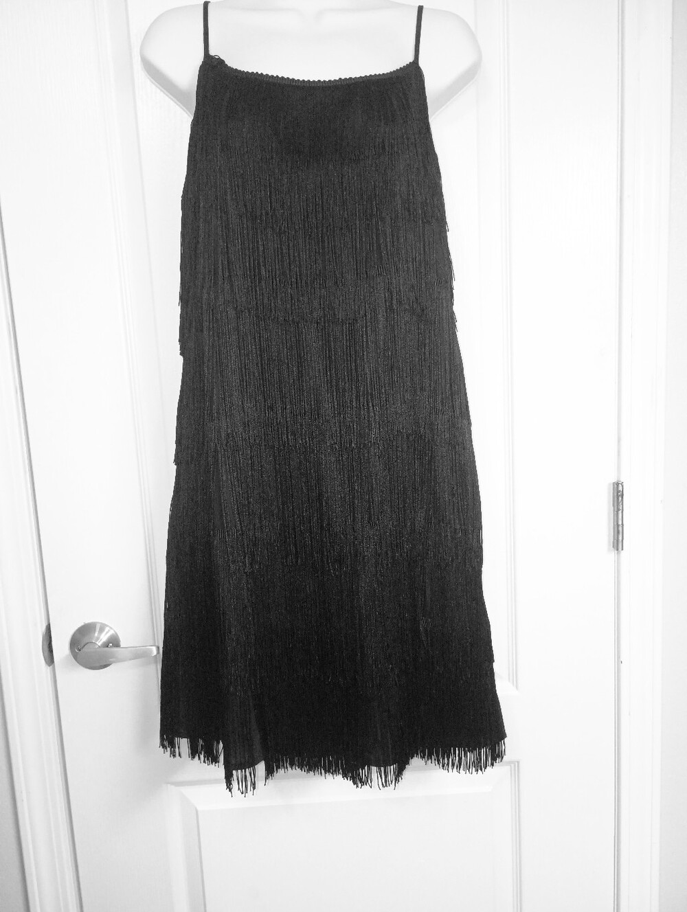 Fringe Tiered Mod 20's Style Flapper Mini Dress